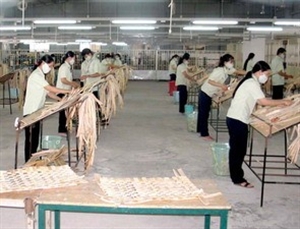 Năm 2011, An Giang phấn đấu đào tạo nghề cho 13.000 lao động nông thôn
